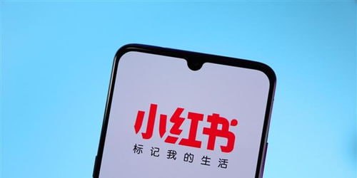 资源《月入10w的小红书商业爆款私教营，一人公司小红书IP打造，爆款笔记，商业变现秘籍》的海报