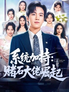 系统加持：赌石大佬崛起＆少年赌神：从原石到顶流