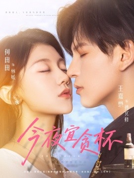 资源《今夜宜贪杯》的海报