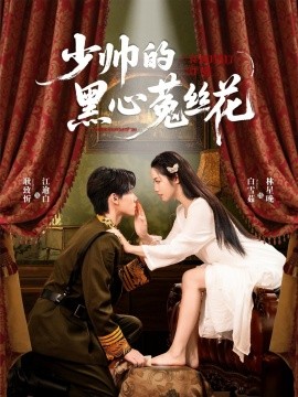 资源《少帅的黑心菟丝花》的海报