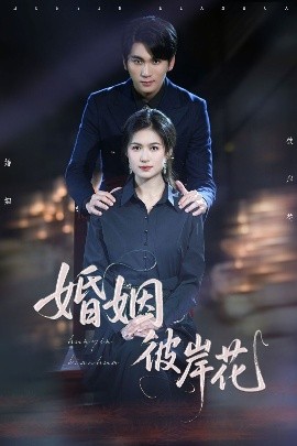 资源《婚姻彼岸花》的海报