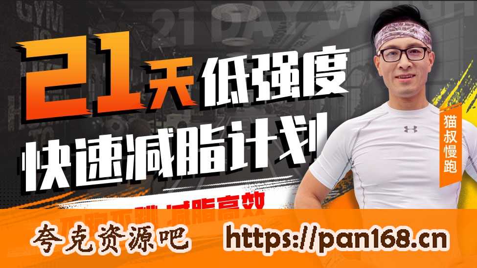 资源《B站 - 猫叔21天低强度无跑跳高效减脂》的海报