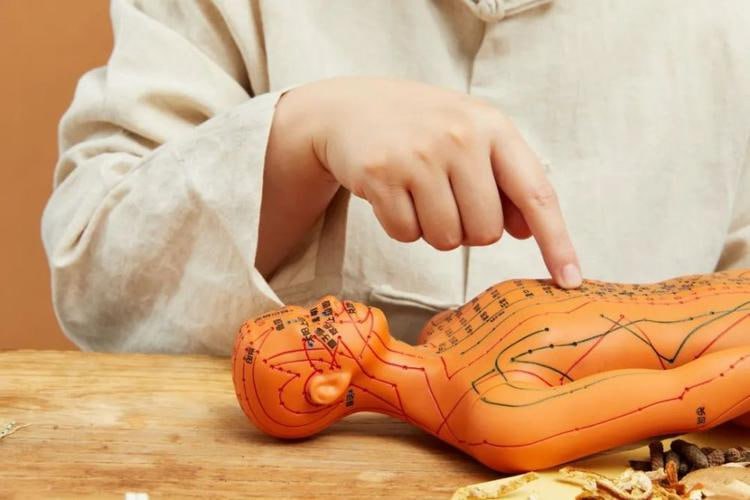 资源《杏林医学苑 穴位一病一讲，轻松自学人体250个穴位 232集全》的海报