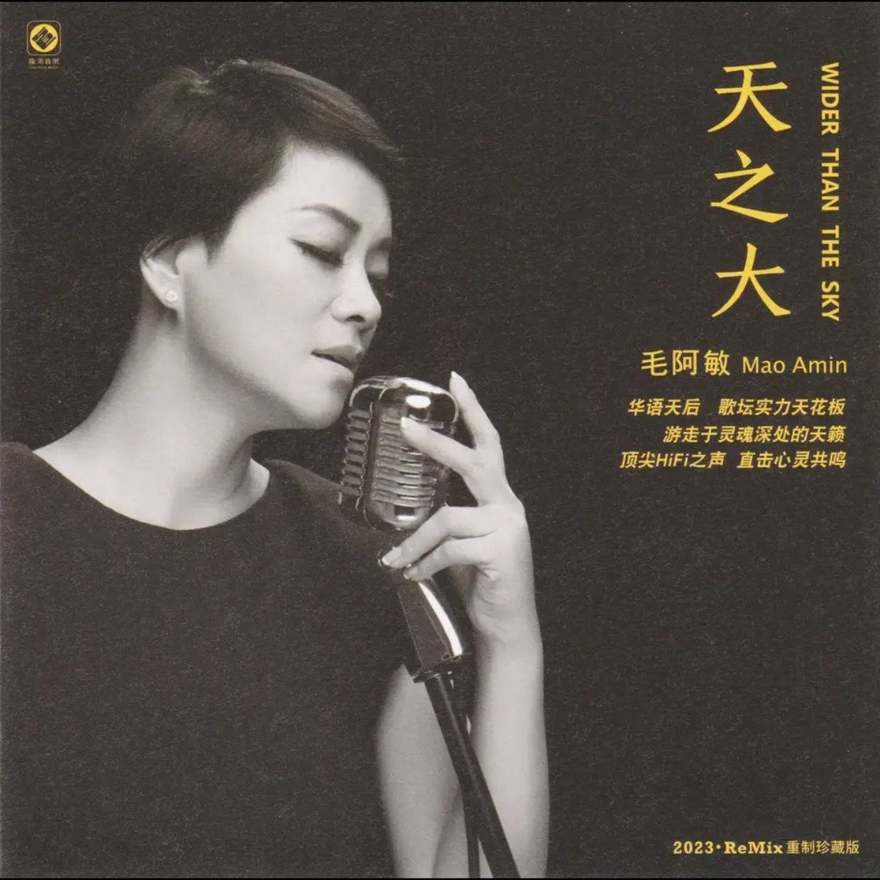 资源《毛阿敏 - 天之大(ReMix重制珍藏版) 24K金碟头版限量编号2023 wav 分轨》的海报