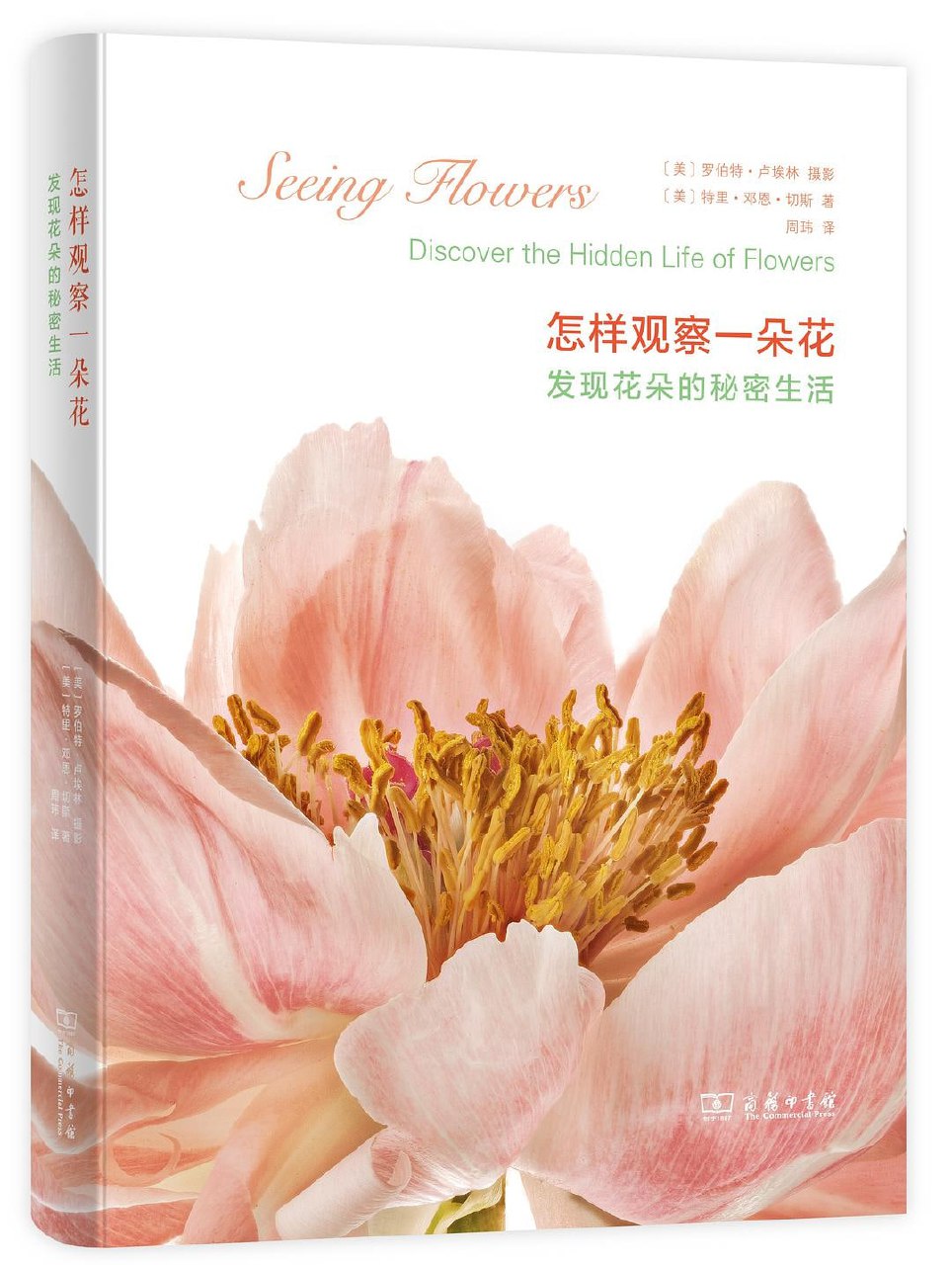 资源《《怎样观察一朵花》(pdf)》的海报