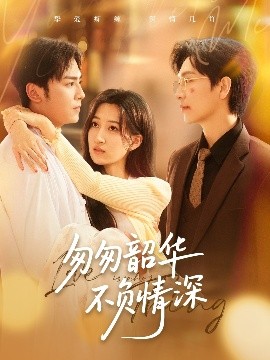 资源《匆匆韶华不负情深》的海报