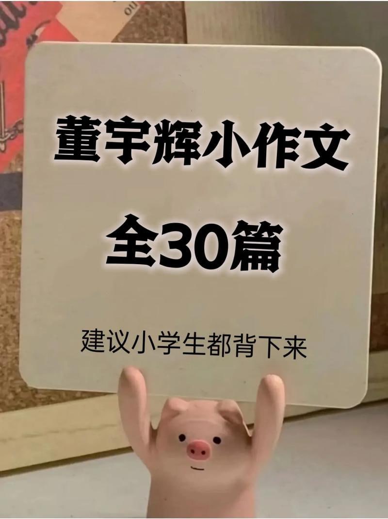 资源《董宇辉小作文30篇》的海报