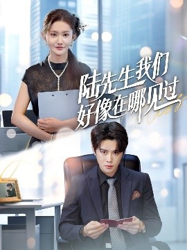资源《陆先生我们好像在哪见过》的海报