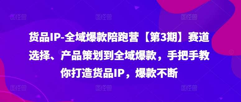 资源《货品IP全域爆款陪跑营【第3期】赛道选择、产品策划到全域爆款，手把手教你打造货品IP，爆款不断》的海报