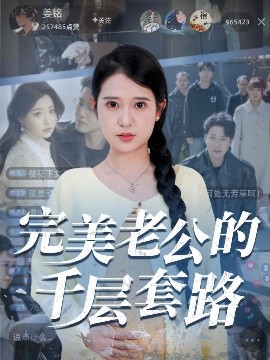 资源《完美老公的千层套路》的海报