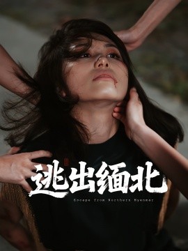 资源《逃出缅北》的海报