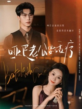 资源《哑巴老公要话疗》的海报