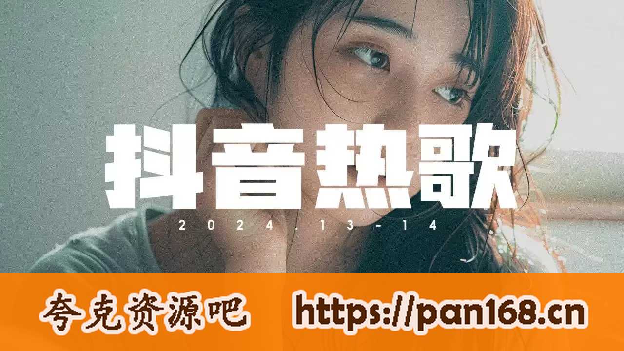 资源《2024年度抖音爆火歌单合集/无损音乐》的海报