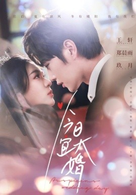 资源《今日宜大婚》的海报