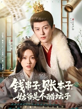 资源《钱串子，账本子，姑爷是个醋坛子》的海报