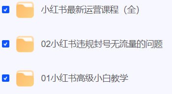 资源《「小红书运营教学（初级、中级、高级）」》的海报