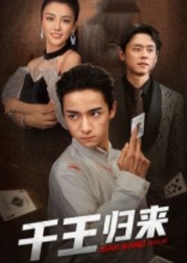 资源《千王归来》的海报