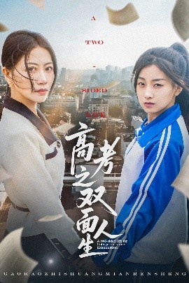 资源《高考之双面人生》的海报