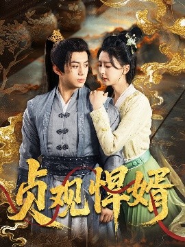 资源《贞观悍婿》的海报