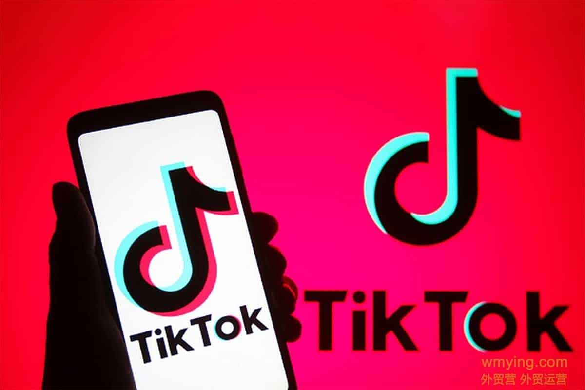 资源《TikTok外贸快速起号课》的海报
