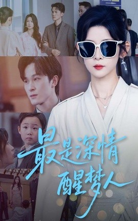 资源《最是深情醒梦人》的海报