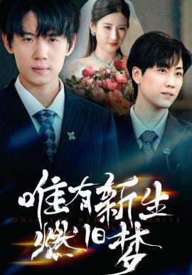 资源《唯有新生燃旧梦》的海报