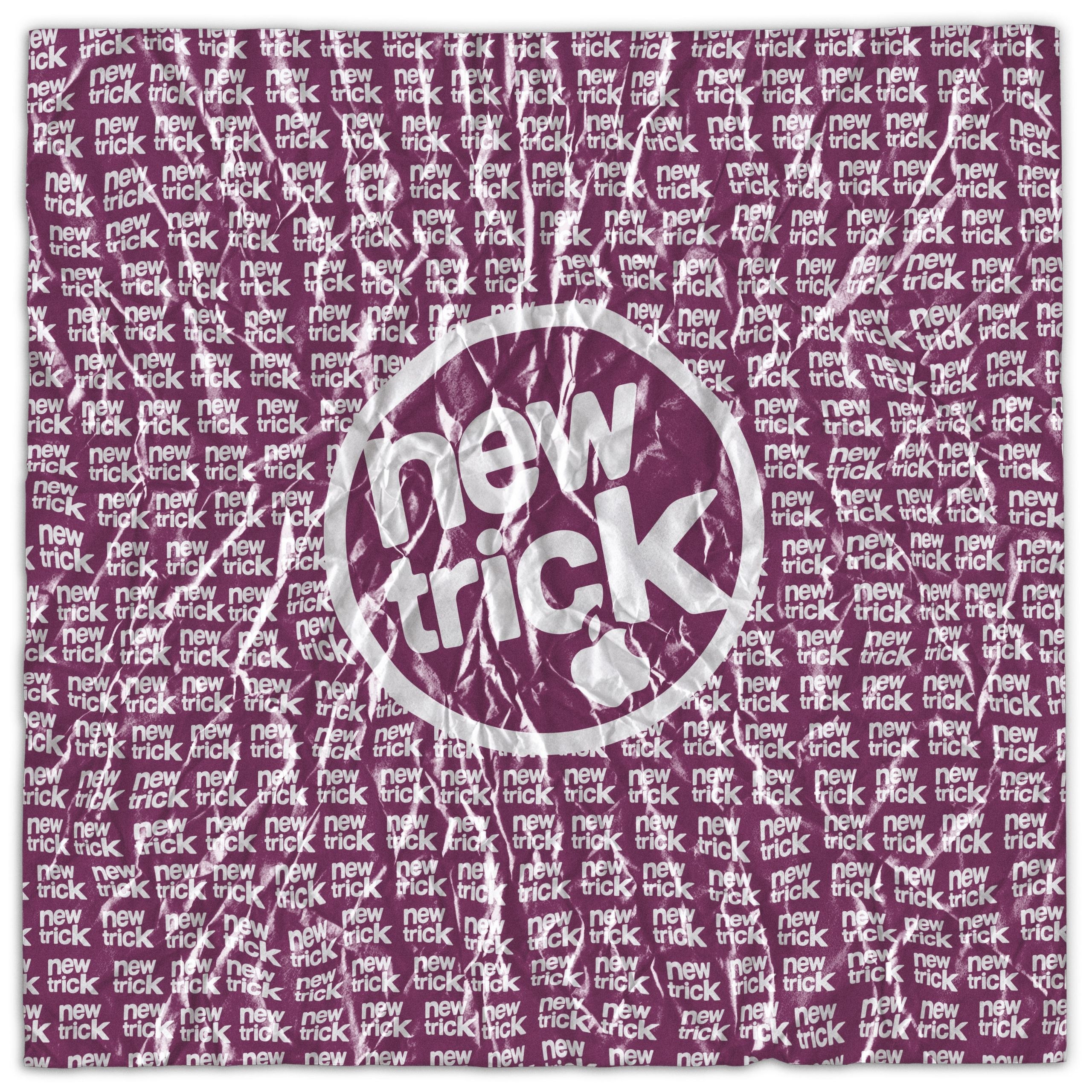 资源《朴彩英 ROSÉ - new trick (2026) - FLAC 24bit 48khz+ 4K MV》的海报