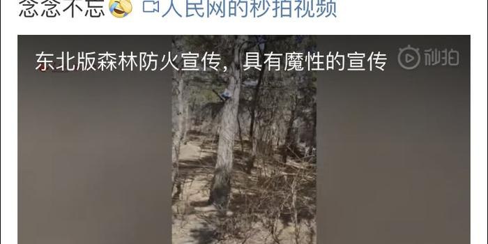 资源《《贼拉魔性东北话》听东北人聊最有料的梗 唠最正宗的磕[pdf]》的海报