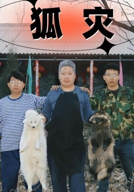 资源《狐灾》的海报