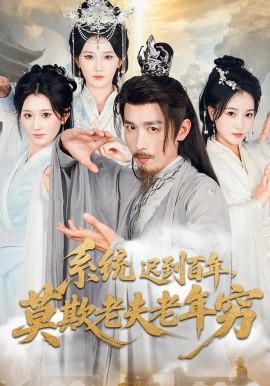 系统迟到百年，莫欺老夫老年穷