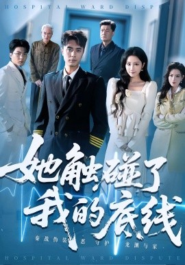资源《她触碰了我的底线》的海报