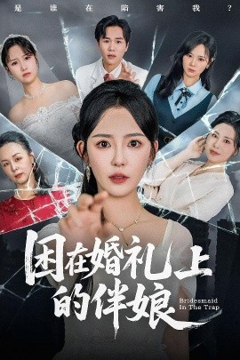 资源《困在婚礼上的伴娘》的海报