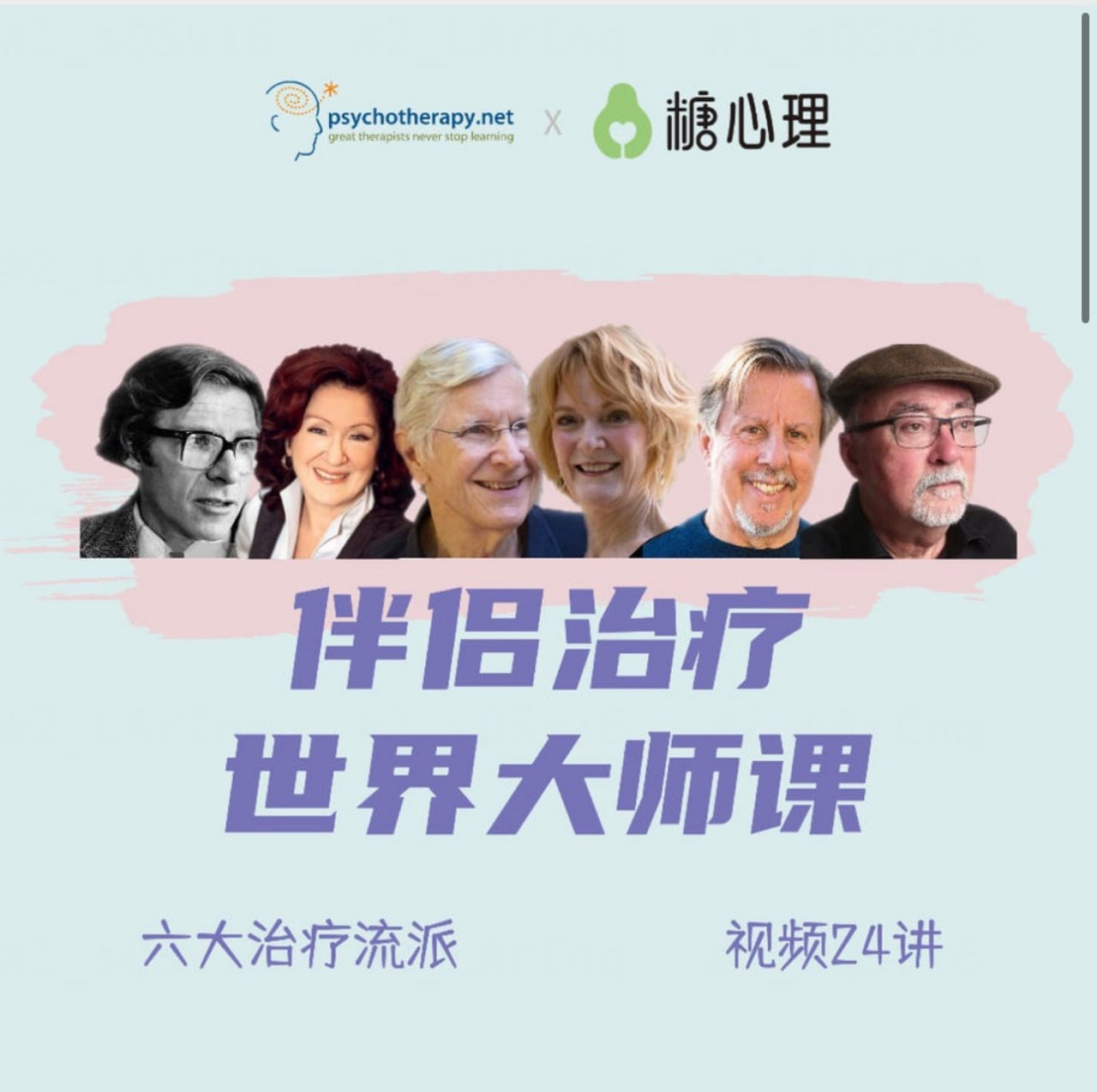 资源《伴侣治疗世界大师课》的海报