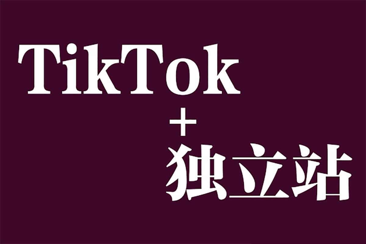 资源《【Tiktok+独立站0基础入门到精通 跨境电商独立站新手必学课】》的海报