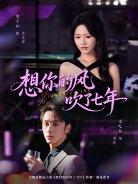 资源《想你的风吹了七年》的海报