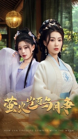 资源《萤火岂可与月争》的海报