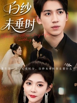 资源《老婆婚礼我当证婚人&白纱未垂时》的海报