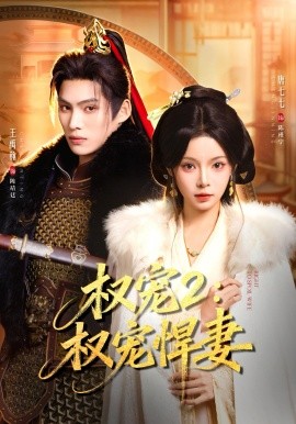 权宠2：权宠悍妻＆权宠2权宠悍妻