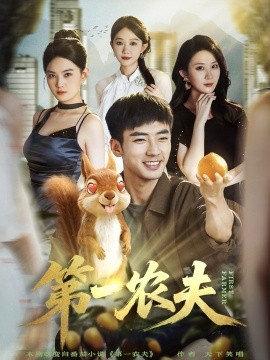 资源《第一农夫》的海报