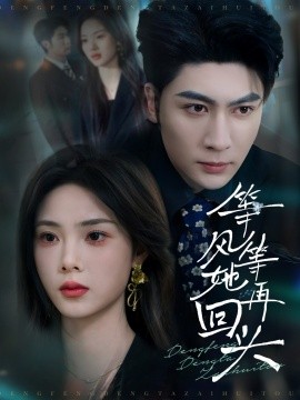 资源《等风等她再回头》的海报