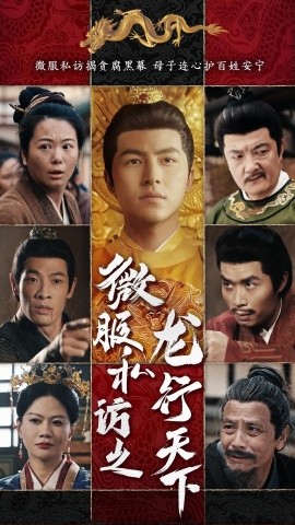 资源《微服私访之龙行天下》的海报