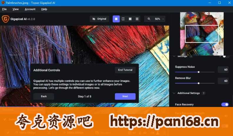 资源《Topaz Gigapixel AI破解版 v7.1.0  绿色便携版(人工智能图像放大软件)》的海报