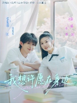 资源《我想许愿在身边》的海报