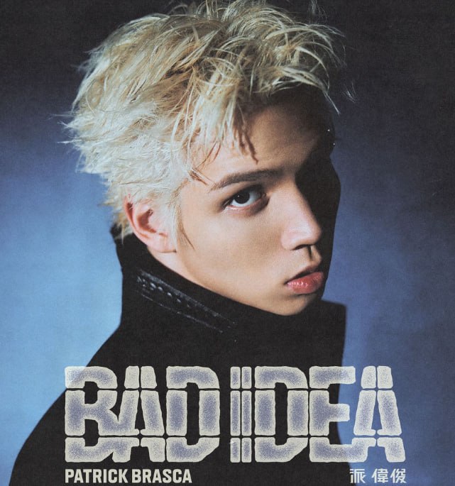 资源《派伟俊 - BAD IDEA 2026 FLAC》的海报