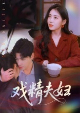资源《戏精夫妇》的海报