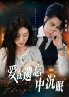 资源《爱在遗忘中沉眠》的海报