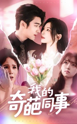 资源《我的奇葩同事》的海报