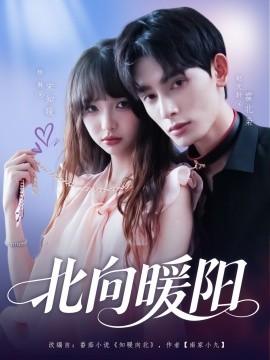资源《北向暖阳》的海报