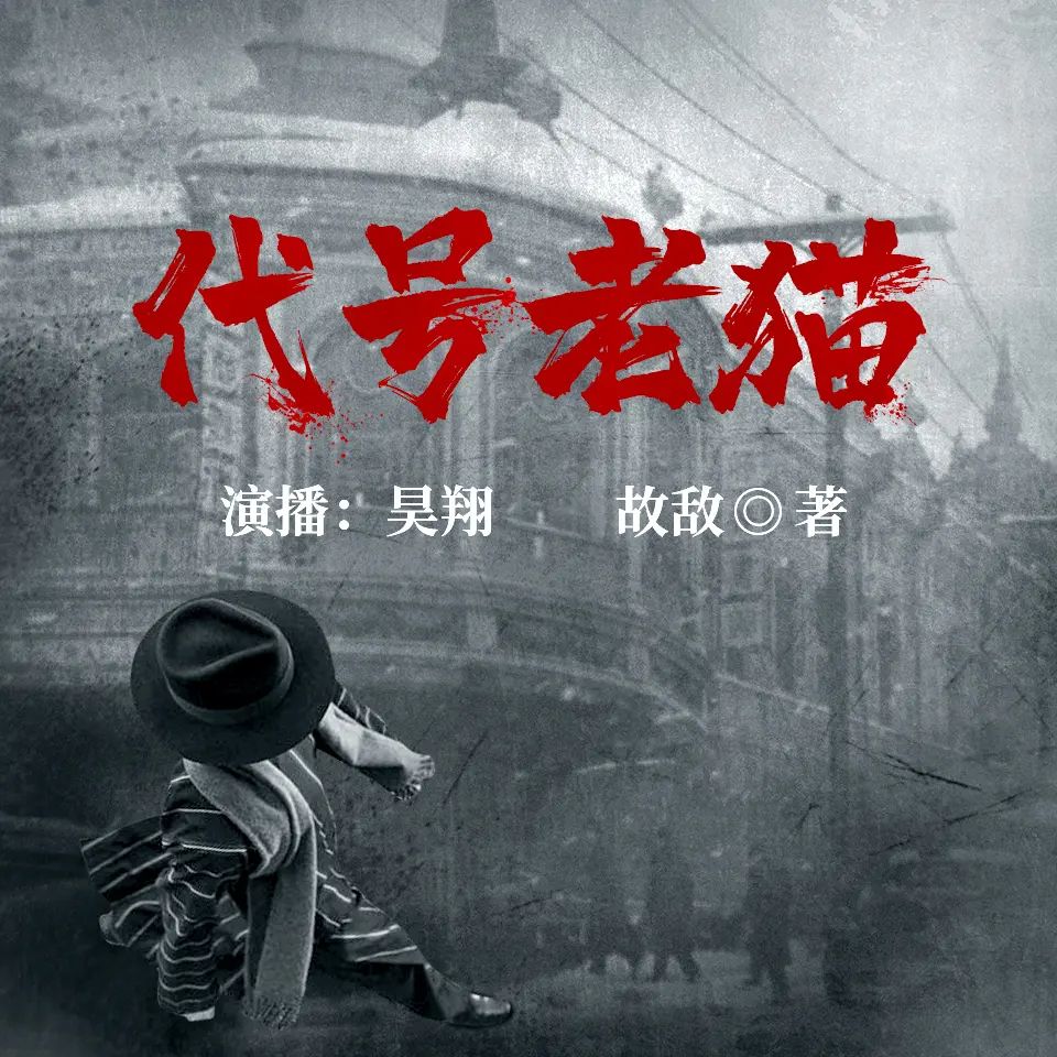 资源《有声小说《代号老猫》主播：昊翔 969集完》的海报