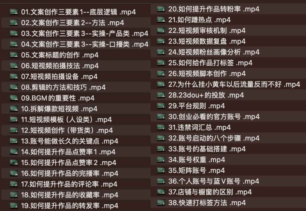 资源《短视频创作与运营，掌握短视频创业的核心逻辑与思维》的海报
